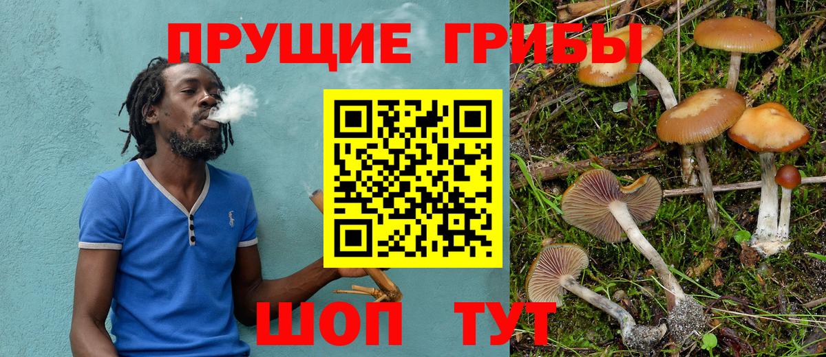 Псилоцибиновые грибы Psilocybine cubensis Тольятти