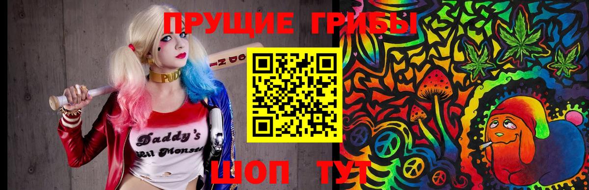 Галлюциногенные грибы Psilocybine cubensis  наркота  Тольятти  Вход с VPN 